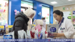 九珍十八品 热卖冰雪季