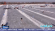 龙江最美飘雪时｜多样冰雪 乐在龙江