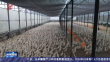 惠企利民出实招｜十条“金政”落地 百亿产业高飞