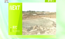 《帮忙》20230529