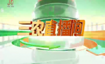 《三农直播间》20240419