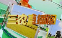 《三农直播间》20240425