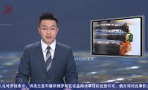 《视点》20241023