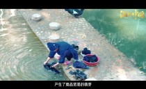 文化传承 · 非遗之前
