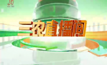 《三农直播间》20250321