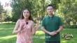 爱上这座城