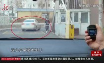 真相
