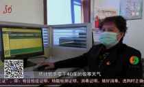 共度晨光