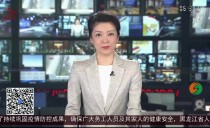 共度晨光