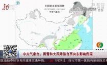 共度晨光