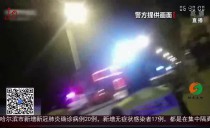 共度晨光