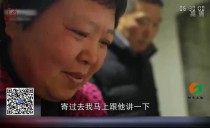 共度晨光