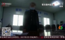共度晨光