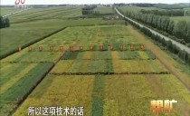 帮忙