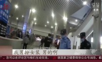 共度晨光