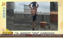 共度晨光