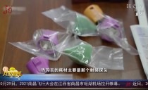 共度晨光