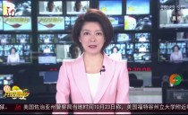 共度晨光