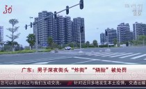 共度晨光