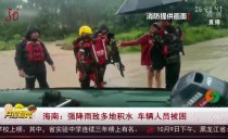 共度晨光