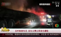共度晨光