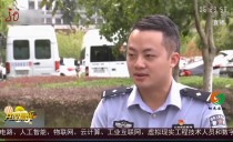 共度晨光
