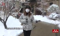 真相