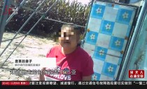 真相