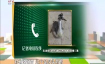 帮忙