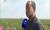 帮忙