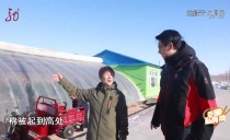 巴黎人娱乐城