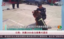 共度晨光