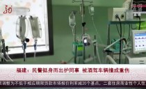 共度晨光