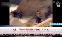共度晨光