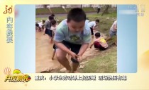 共度晨光