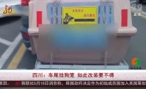 共度晨光