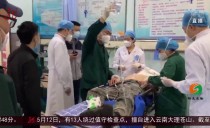 共度晨光