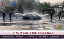 共度晨光