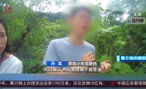 共度晨光