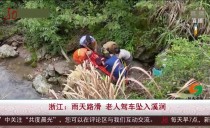 共度晨光