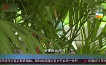 共度晨光