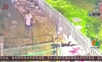 共度晨光