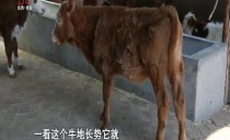 帮忙