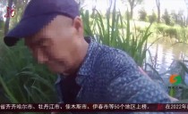 共度晨光