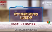 共度晨光