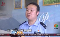 共度晨光