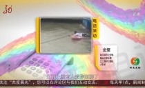 共度晨光