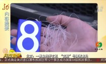 共度晨光