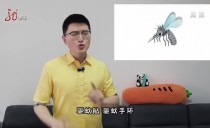 天下夜航