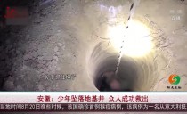 共度晨光